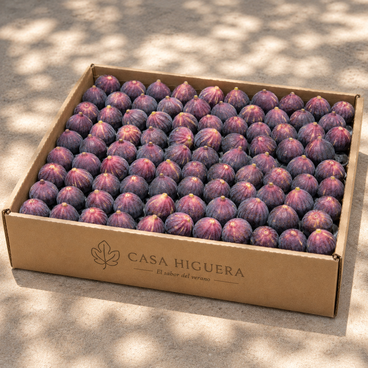 Caja Legado 8kg
