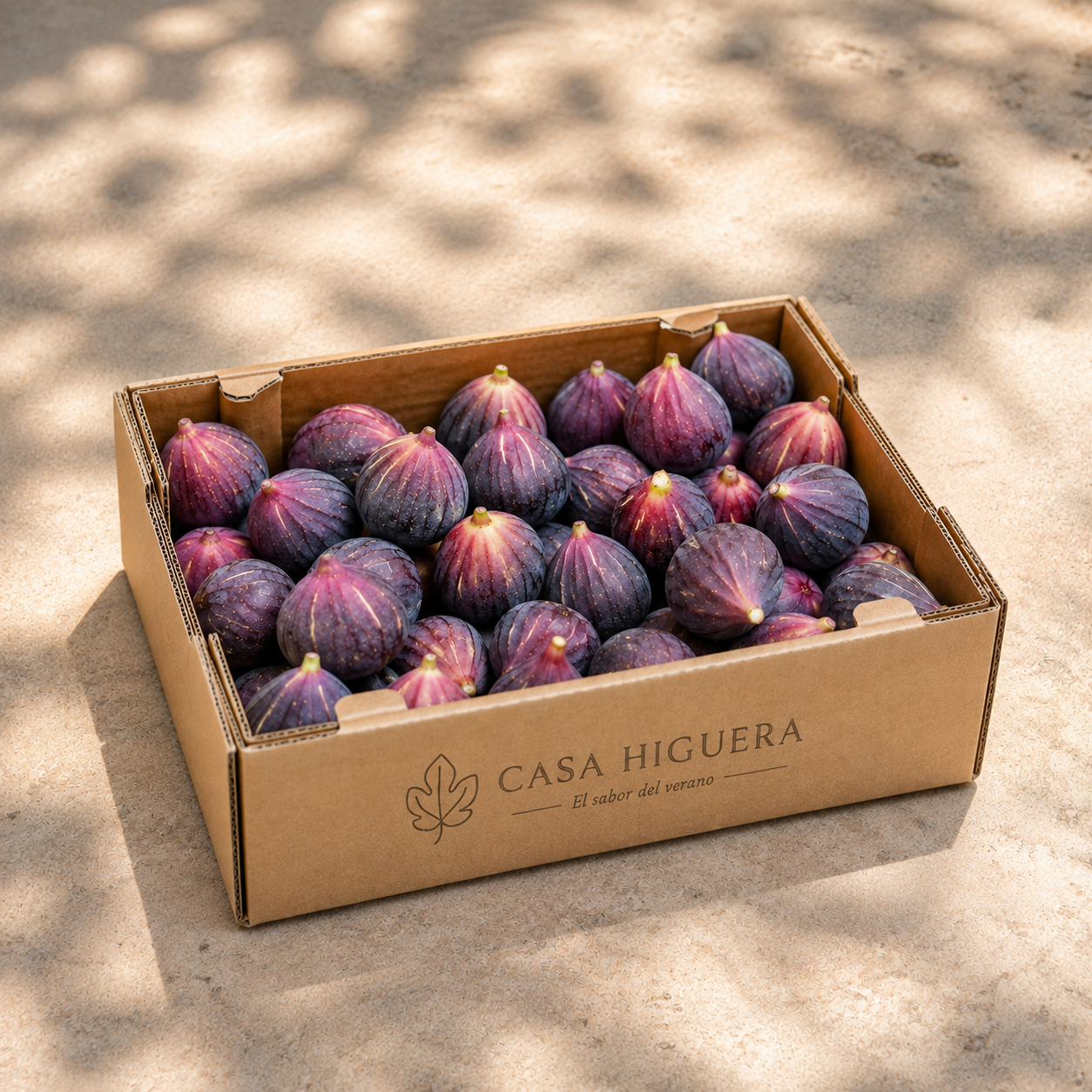 Caja Descubrimiento 1,5kg